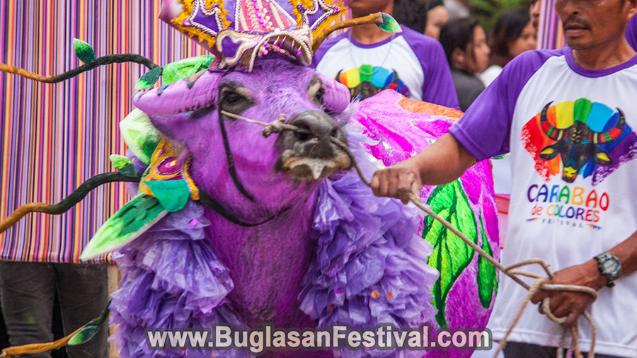 Carabao de Colores Festival 2018 - Vallehermoso - Negros Oriental