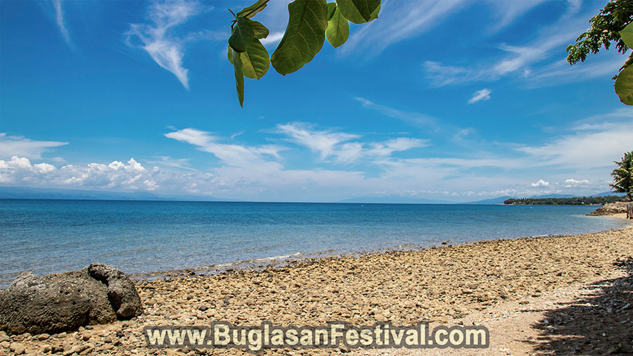 La Libertad | Negros Oriental | Philippines | Buglasan Festival